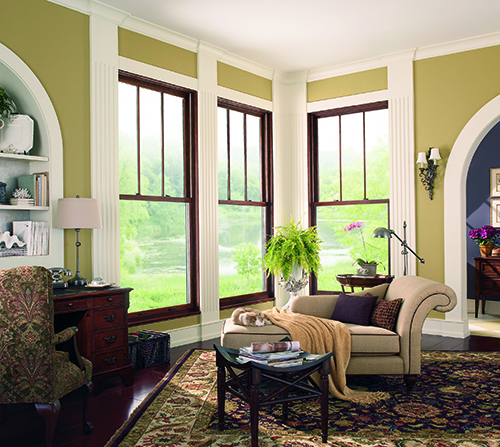 What is the Feng Shui Criteria for Window Treatments?